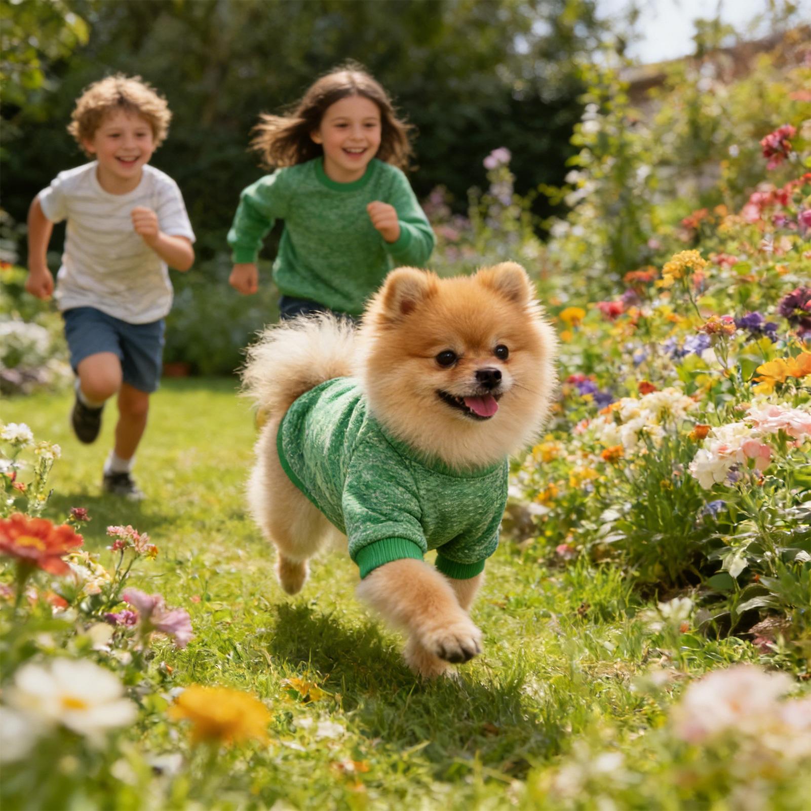 Small Dog Sweater Puppy Fleece - огляд і ціна Winter Clothes Shop